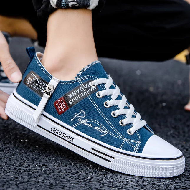 2025 Spring Canvas Shoes for Men shoe Fashion Platform Sneakers Summer Male Casual Vulcanized shoes man Student Tenis Masculino