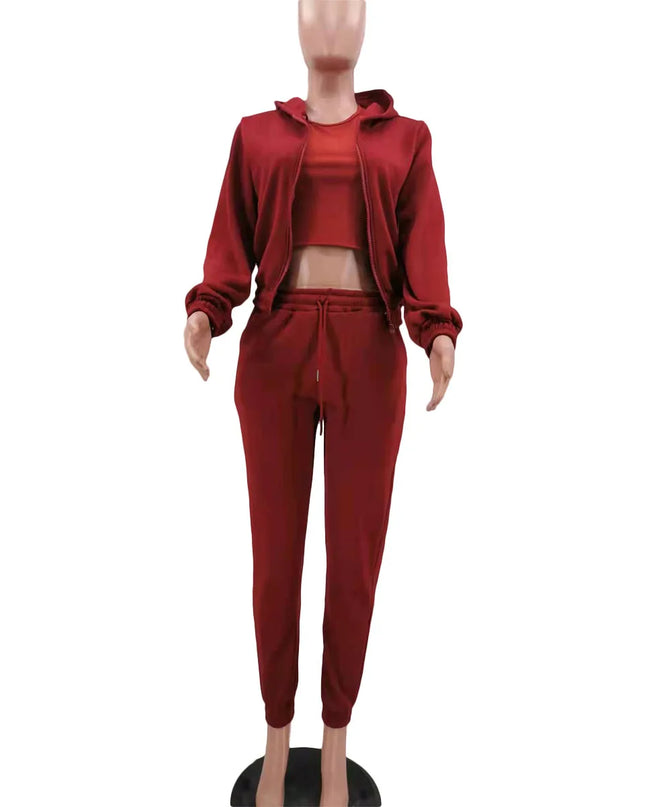 3pcs Women's Clothing Set Fleece-lined Hooded Sweater &Sleeveless Tank Top & Sports Sweatpants Pants