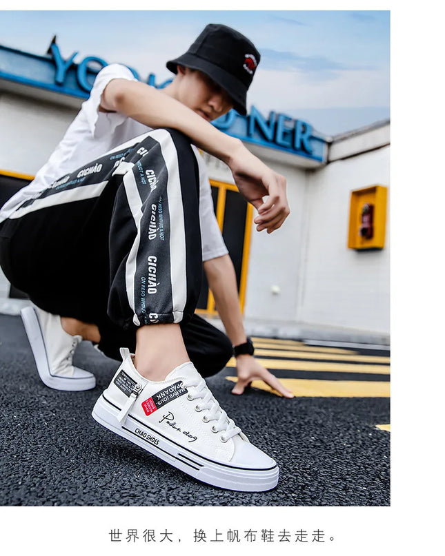 2025 Spring Canvas Shoes for Men shoe Fashion Platform Sneakers Summer Male Casual Vulcanized shoes man Student Tenis Masculino
